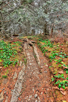 Frosted Appalachian Trail