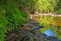 Loyalsock Creek