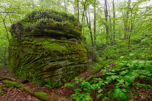 Spring Sentinel of Rock City
