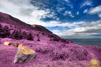 Cape Breton - Ultra Violet Fantasy