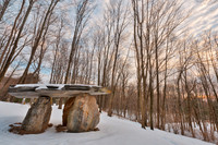 Winter Dolmen Forest