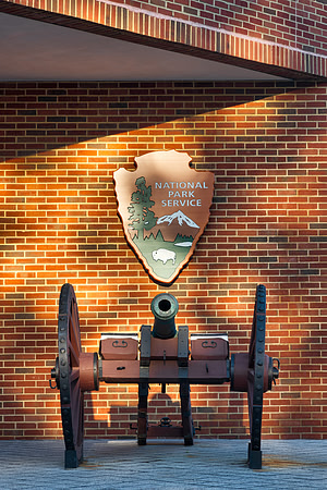 NPS Strong