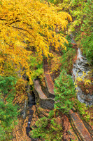Watkins Glen State Park