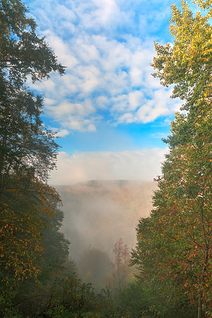 Misty Mountain oVerlook