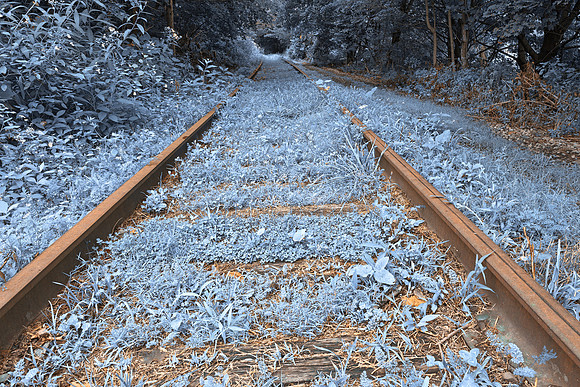 Railway to Blissful Oblivion