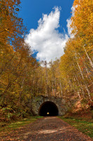 Forest Tunnel to Nowhere