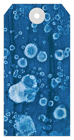 Acrylic Tag 1