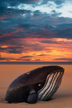 Whale Beach Sunset