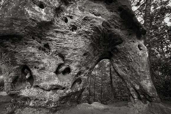 Dark Horse Arch