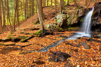 Autumn Dutchman Forest Falls