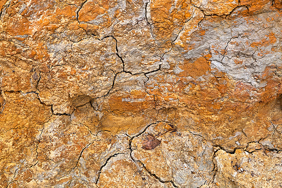 Cracked Earth Texture