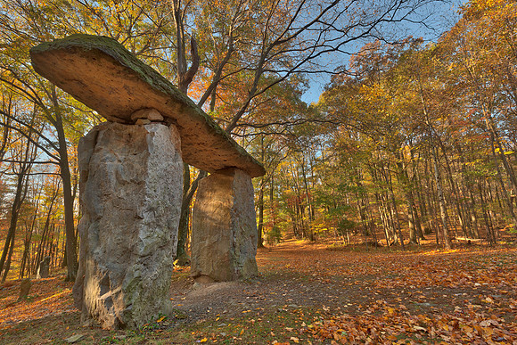 Autumn Megalith Forest