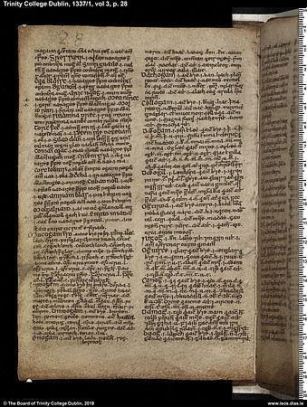 MS 1337 / Book of Ogams (page 28)