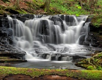 Loyalsock State Forest