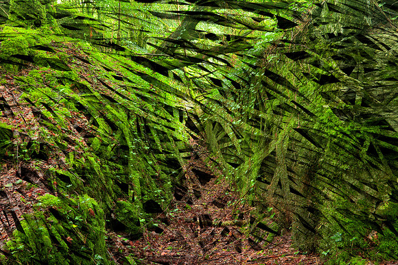 Organic Trail Blades
