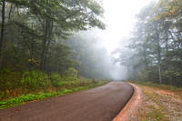 Misty Forest Road - Spruce Knob