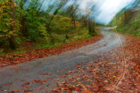 Happy Autumn Forest Accident
