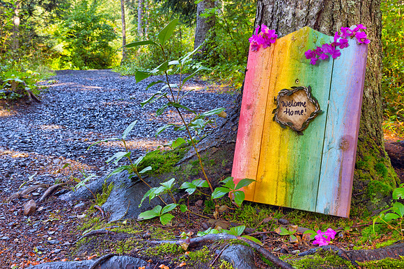 Forest Fairy Door Trail