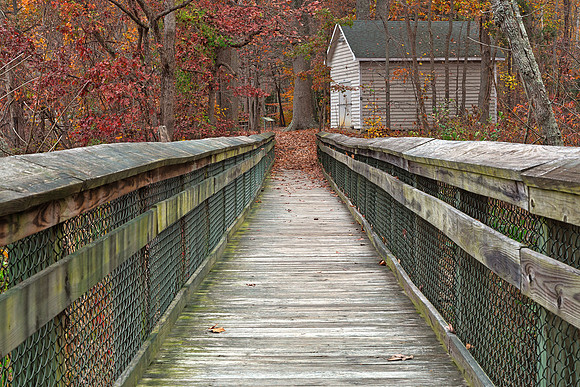 Rustic Autumn Boardwalk