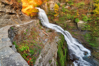 Robert H Treman State Park