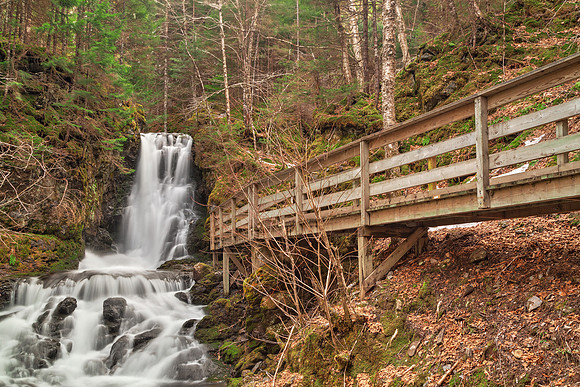 Dickson Boardwalk Falls