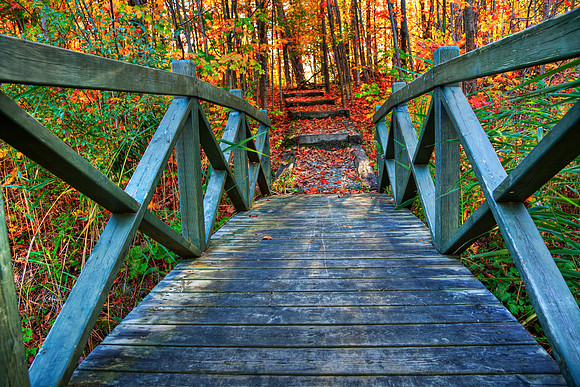 Bridge to Fall - Mont-Orford