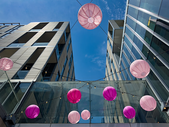 Pink DC Lanterns