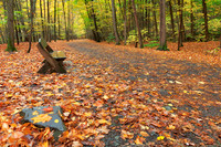 Autumn Taughannock Trail