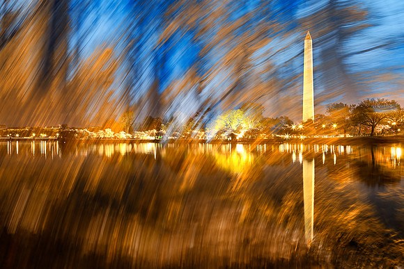 Washington DC Wonderland