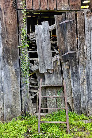 Neglected Wood Shed