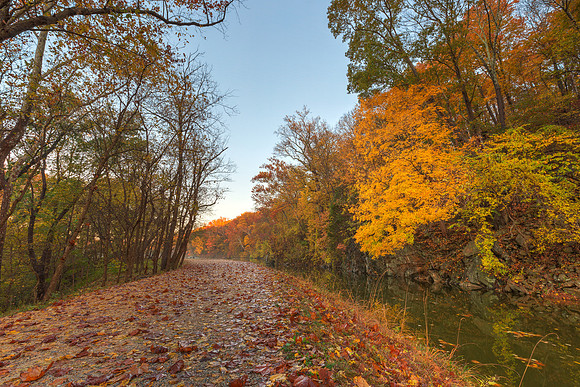 Anglers Autumn Towpath