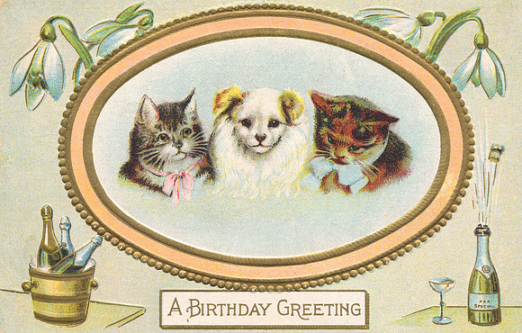 Vintage Birthday Greeting - Pet Party