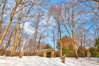 Winter Megalith Forest