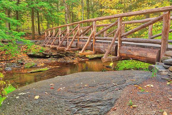 Autumn Log Bridge