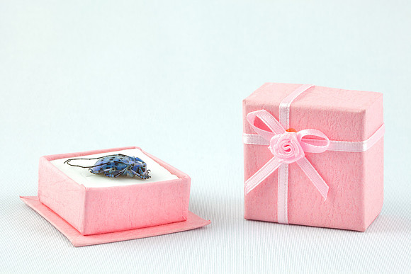 Sweet Weevil Gift