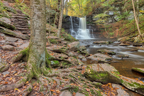 Sheldon Reynolds Step Falls