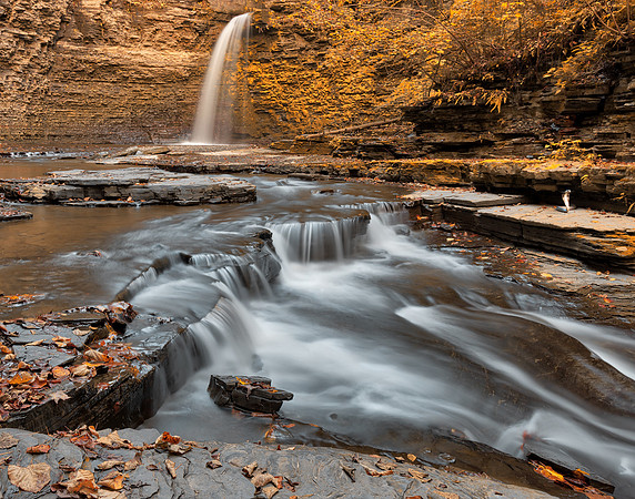 Snake Eagle Falls