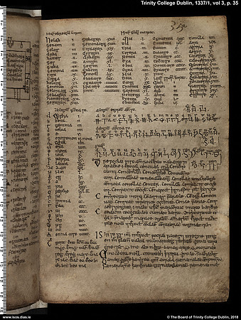 MS 1337 / Book of Ogams (page 35)