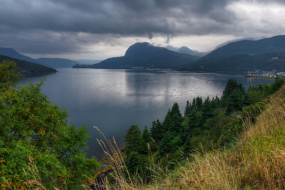 Woody Cloud Point
