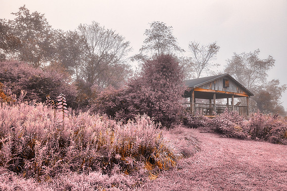 Misty Old Crow Lookout - Pink Pastel Fantasy