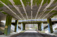 Green Grunge Pass