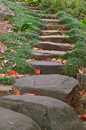 Arboretum Stepping Stones