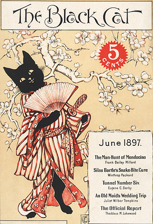 Vintage Black Cat Magazine - June 1897