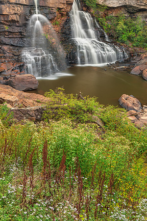 Blackwater Wildflower Falls