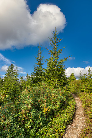 Gros Morne Cloud Trail