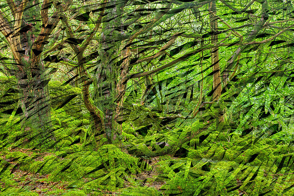 Organic Forest Blades