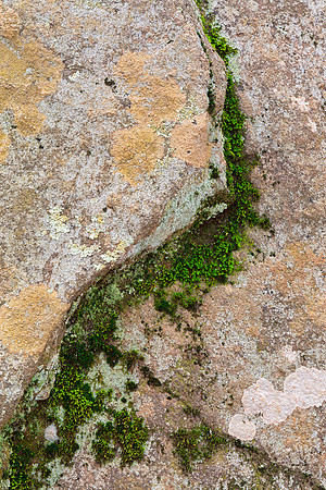 Yin Yang Moss Stone