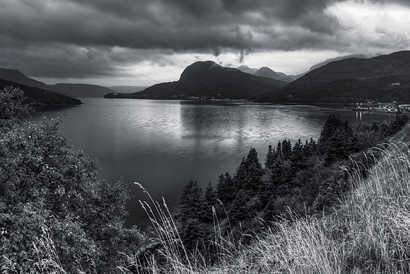 Moody Point
