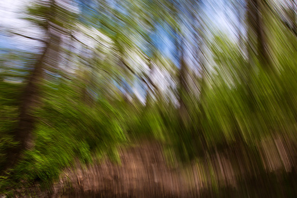 Abstract Forest Streaks