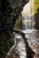 Watkins Glen Shower Trail